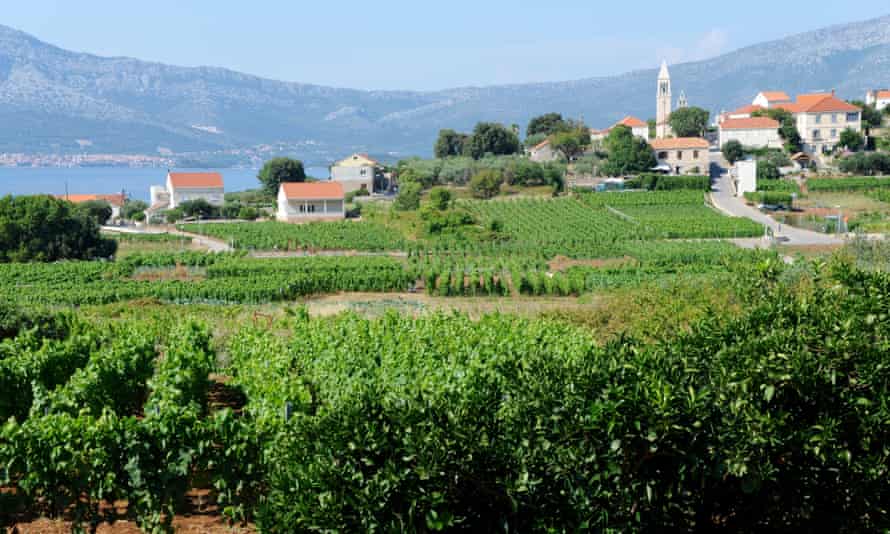 Vineyards at Lumbarda.