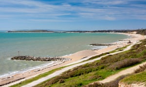 Tory councillors in Dorset have deferred a plan to reorganise the county’s local government.