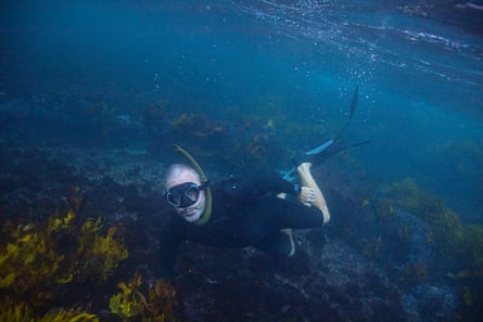 Harcourt snorkelling off North Bondi.