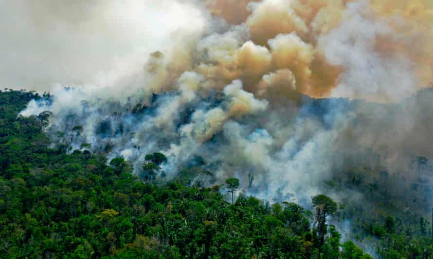 Burning Amazon rainforest