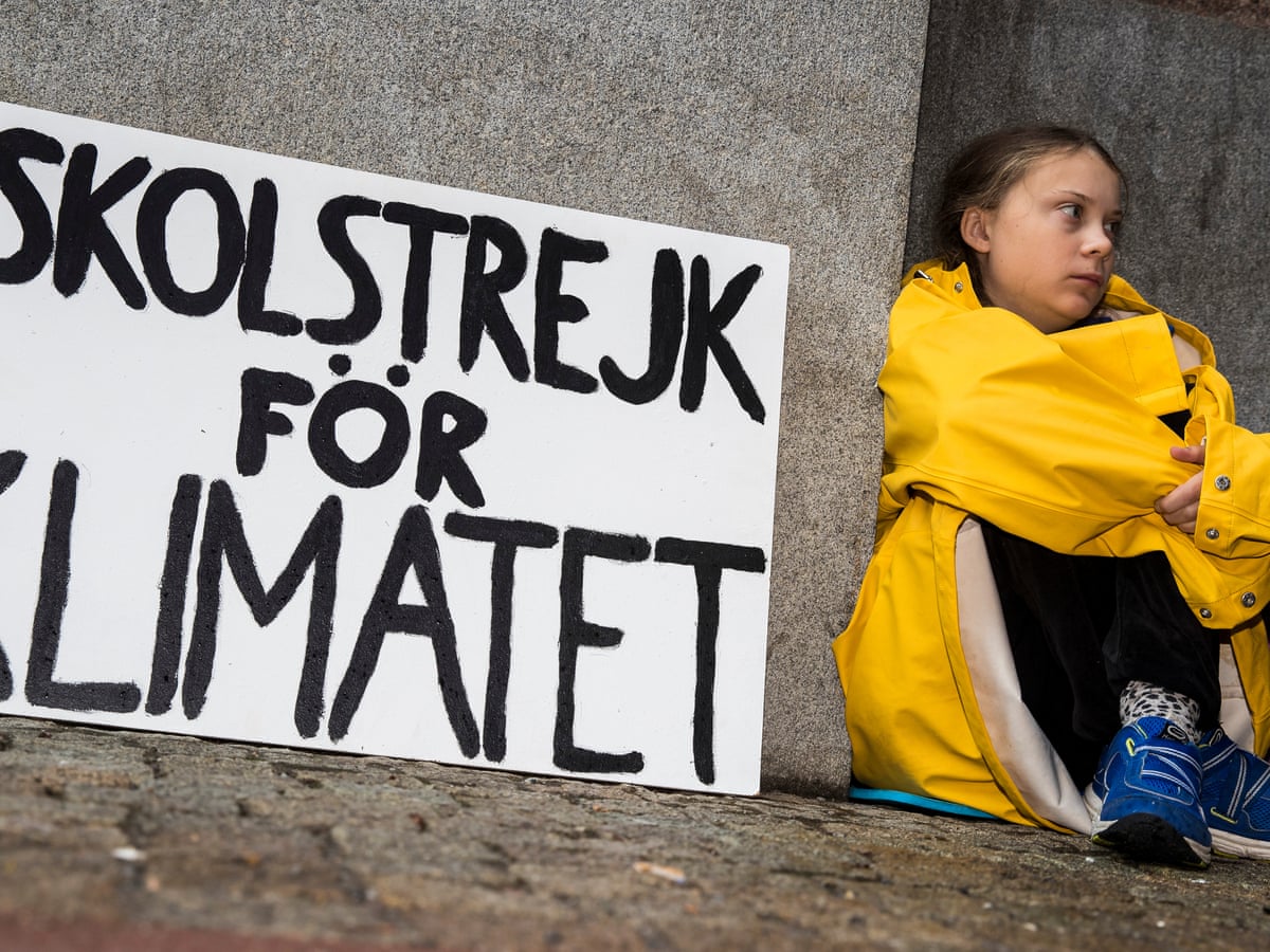 The Swedish 15-year-old who's cutting class to fight the climate crisis | Climate science | The Guardian