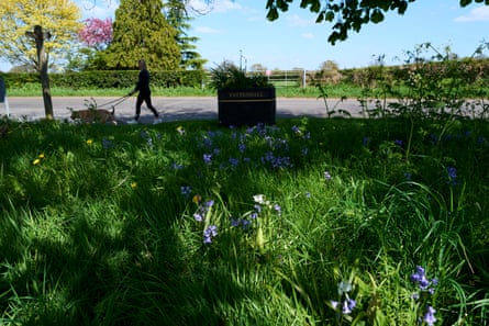 Wildflowers near a ‘Tattenhall’ sign