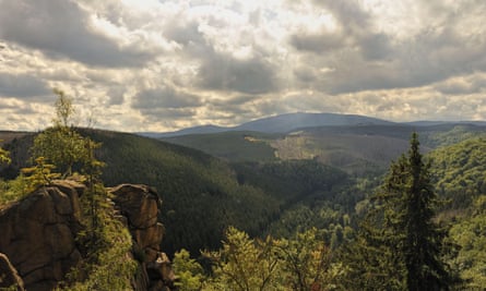 A view to the Brocken in summer.