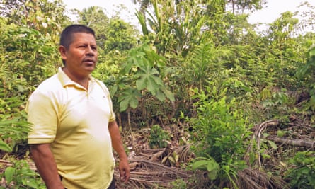 Fulgencio Quenguan stands Jan 30 next to a rogue coca bush on his farm in the village of Los Laureles, Putumayo. Though he pulled up 12 hectares of coca plants in 2004 one sturdy plant keeps growing back.