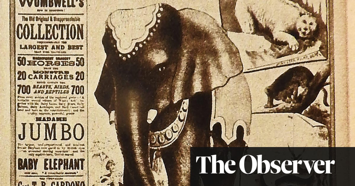 Archaeologists hunt for burial site of famous 19th-century elephant in Gloucestershire - The Guardia