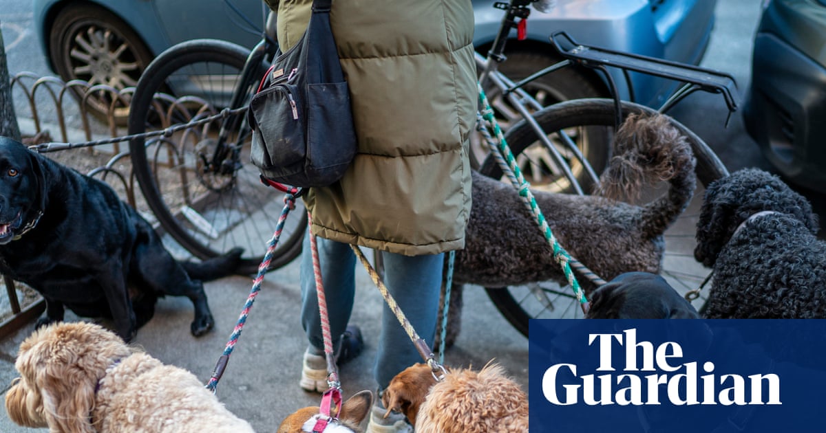 Party poopers: New Yorkers sniff at pet owners leaving behind animal waste