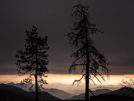 A dead tree is silhouetted against the setting sun in Sequoia national park.