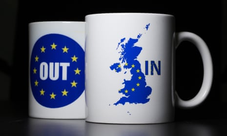 EU referendum mugs