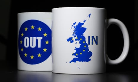 Two EU referendum mugs