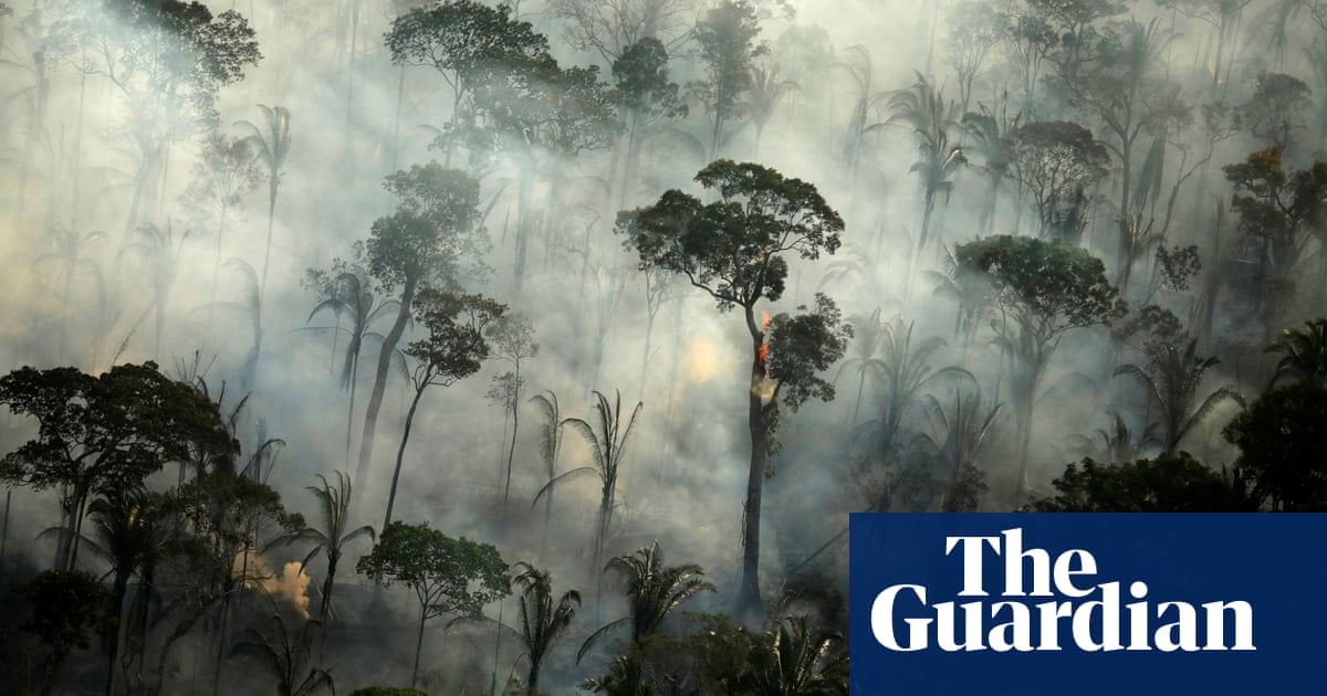 Green groups denounce Brazil's 'sham' Amazon tour for foreign diplomats