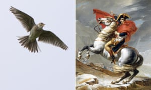 How To Top 1812 Overture How About >> 1812 Overture V The Lark Ascending Which Best Represents Brexit How To Top 1812 Overture How About >> 1812 Overture V The Lark Ascending Which Best Represents Brexit
