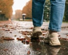 Want to know what you’re really like? Just ask the people who see you twice a year | Zoe Williams