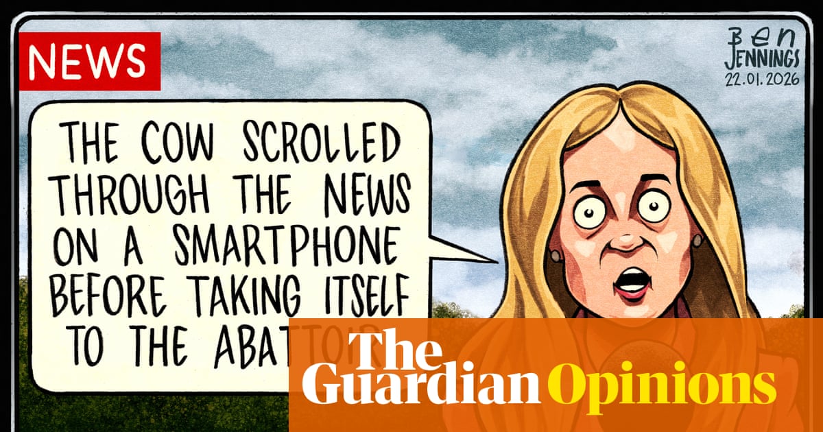 Ben Jennings on the tool-using cow – cartoon