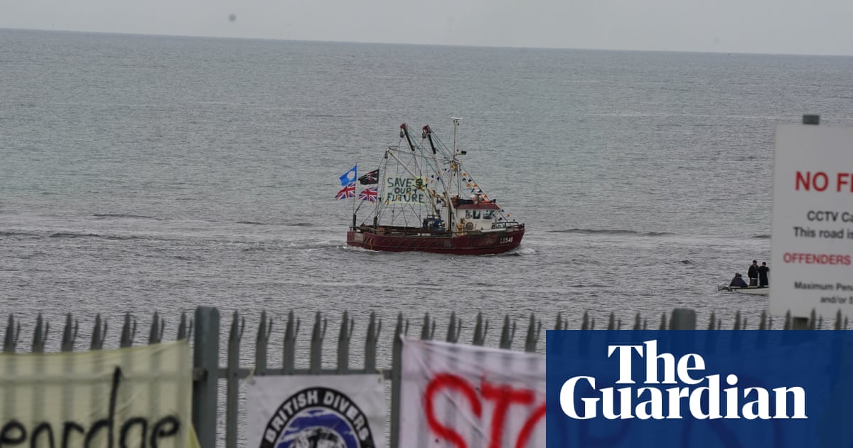 The mystery of Teesside's dead crabs - podcast - The Guardian