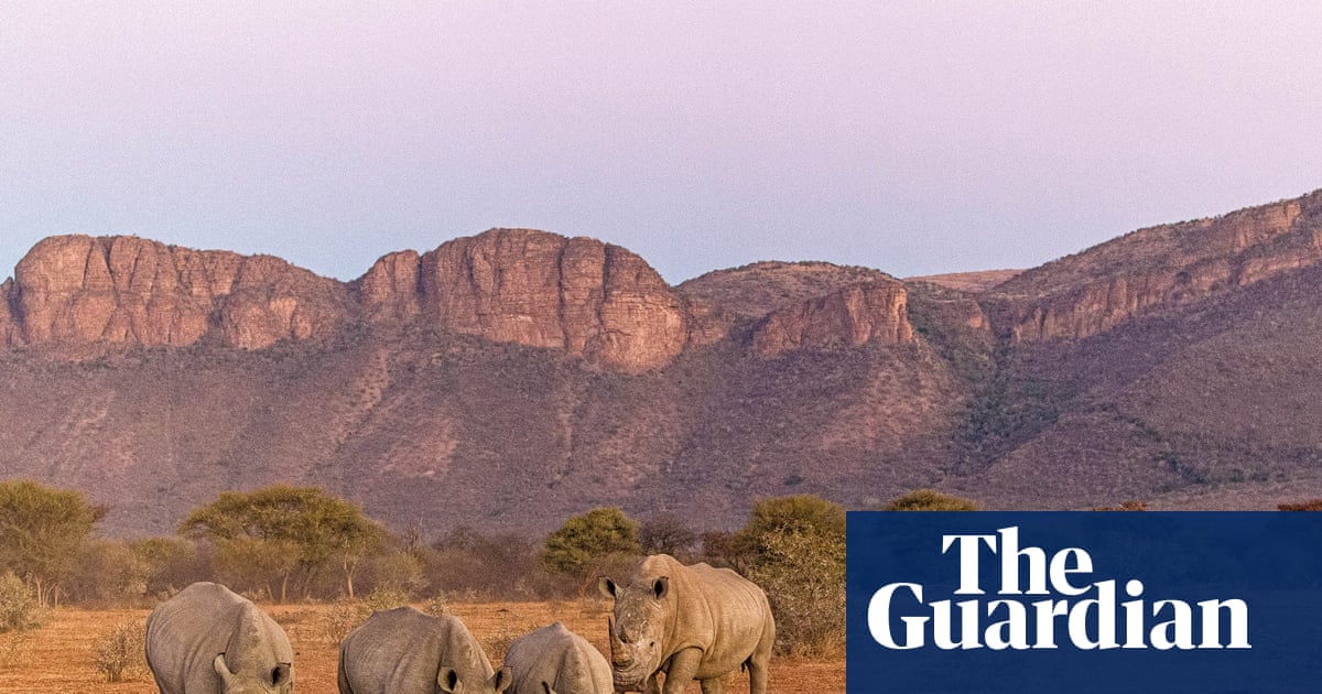 World's landscapes may soon be devoid of wild animals', says nature photographer