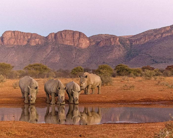 World’s landscapes may soon be ‘devoid of wild animals’, says nature photographer
