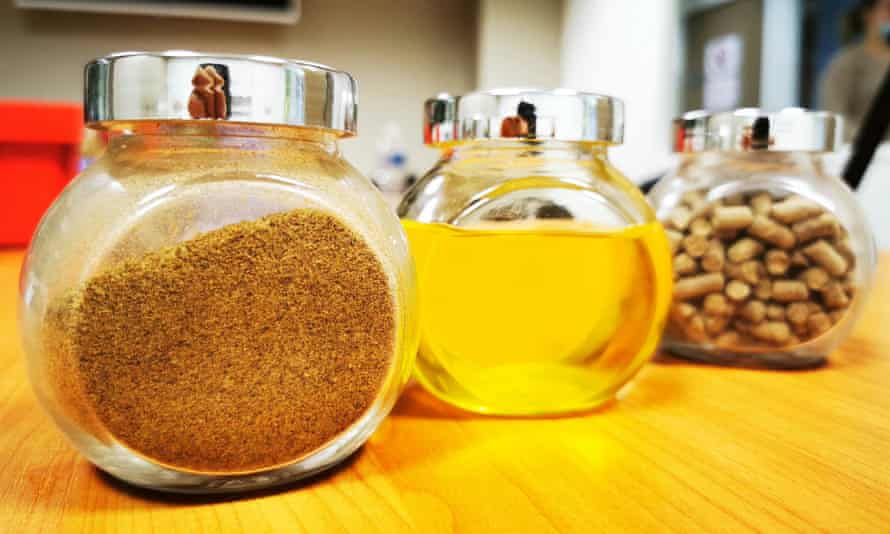 Glass jars of insect flour, oil and fertiliser all made at Ÿnsect’s lab.