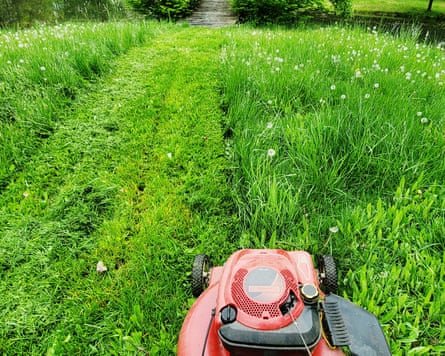 Push mower cutting very long grass. Job partially complete