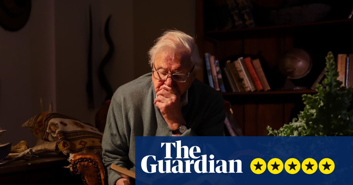 A Gorilla Story: Told By David Attenborough review – like one of our last meetings with an adored relative