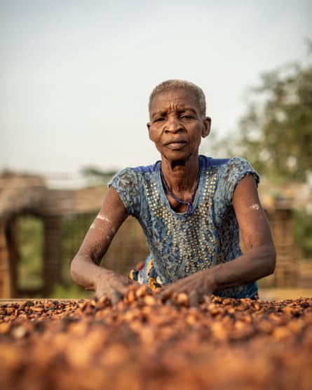 An elderly Ivorian woman sorting cocoa beans