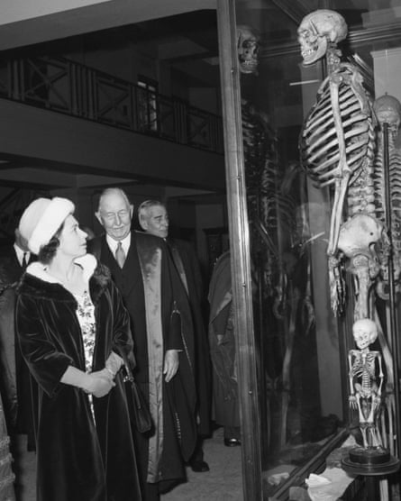 La Reine rencontre le géant irlandais - Hunterian Museum, Londres au Lincoln's Inn Fields, Londres. 7 novembre 1962