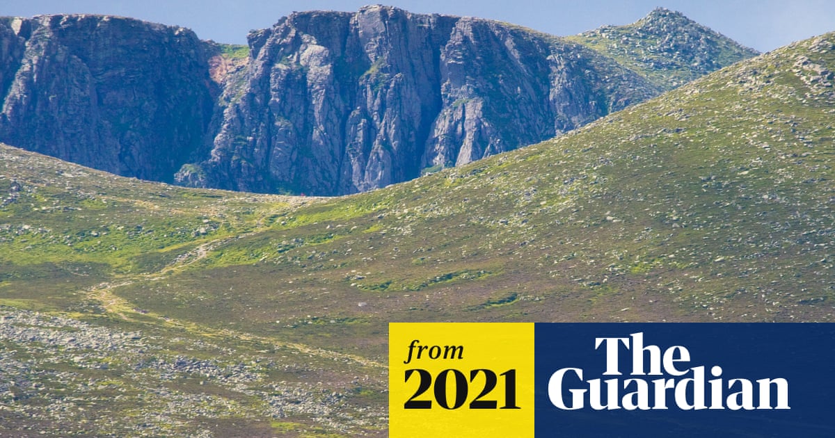 Royal family urged to lead rewilding efforts and transform estates