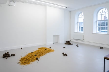 Lynette Yiadom-Boakye's Enigmatic Figures, Sensational Seeds, and a Heavyweight Four-Way Showdown: The Week in the Art | Art and Design No Name by Davinia-Ann Robinson at Fugitive Seeds.