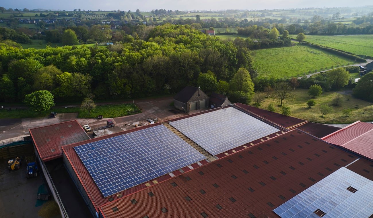 This is reportedly the largest privately owned solar panel system in the UK, atop the Worthy Farm cowsheds.