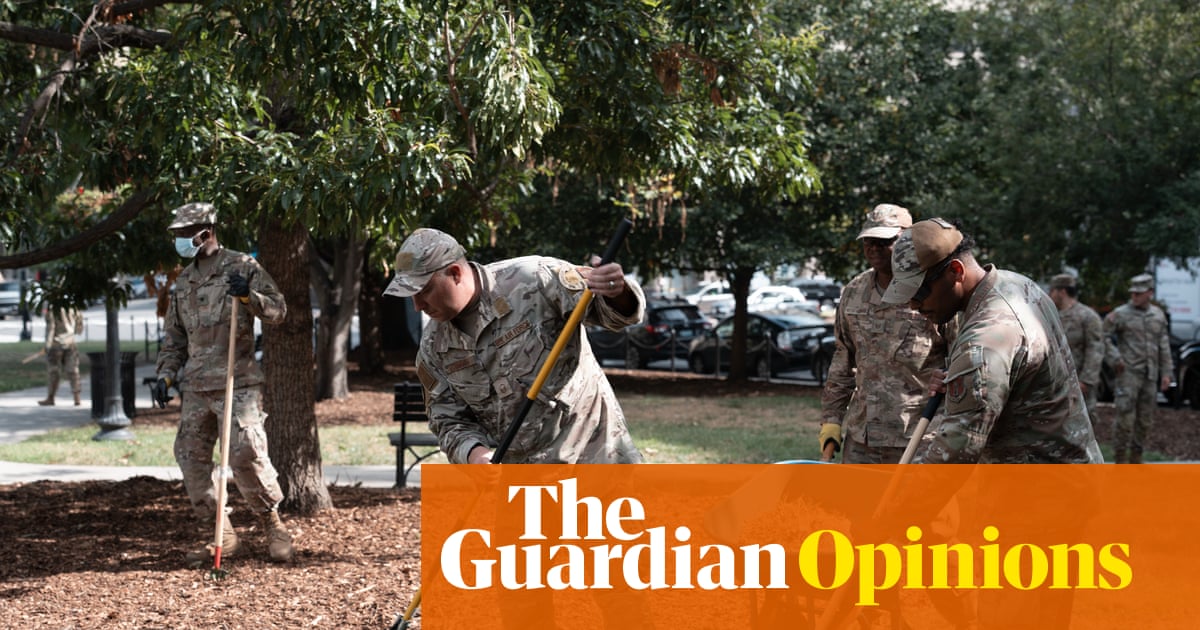 Soldiers are doing landscaping in DC parks. I'm thrilled for them | Dave Schilling