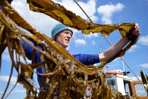 Alex Glasgow of KelpCrofters on a boat harvesting kelp on Skye