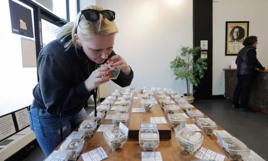 The nose knows: a customer sniffs display samples at Evergreen Cannabis in Vancouver.