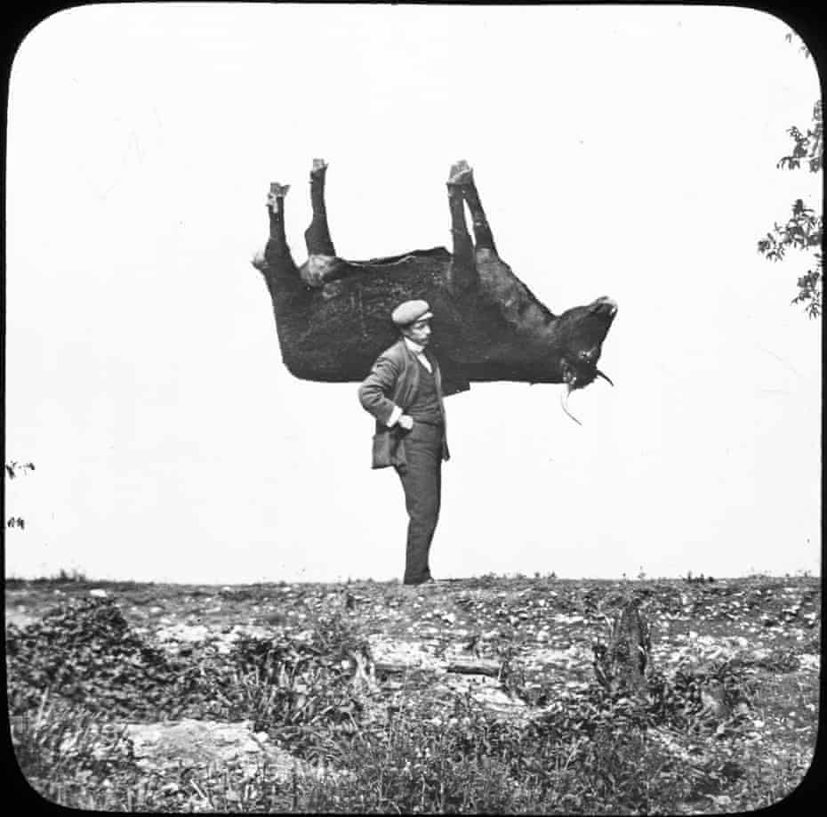 Cherry Kearton carrying a hollow ox