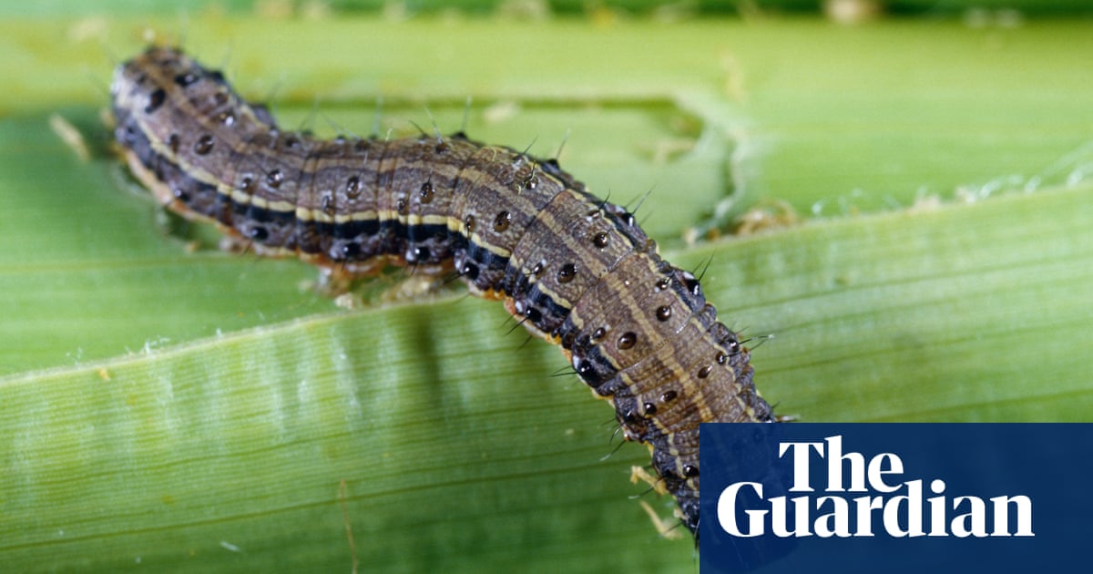 Damage from invasive species ‘trebling every decade’