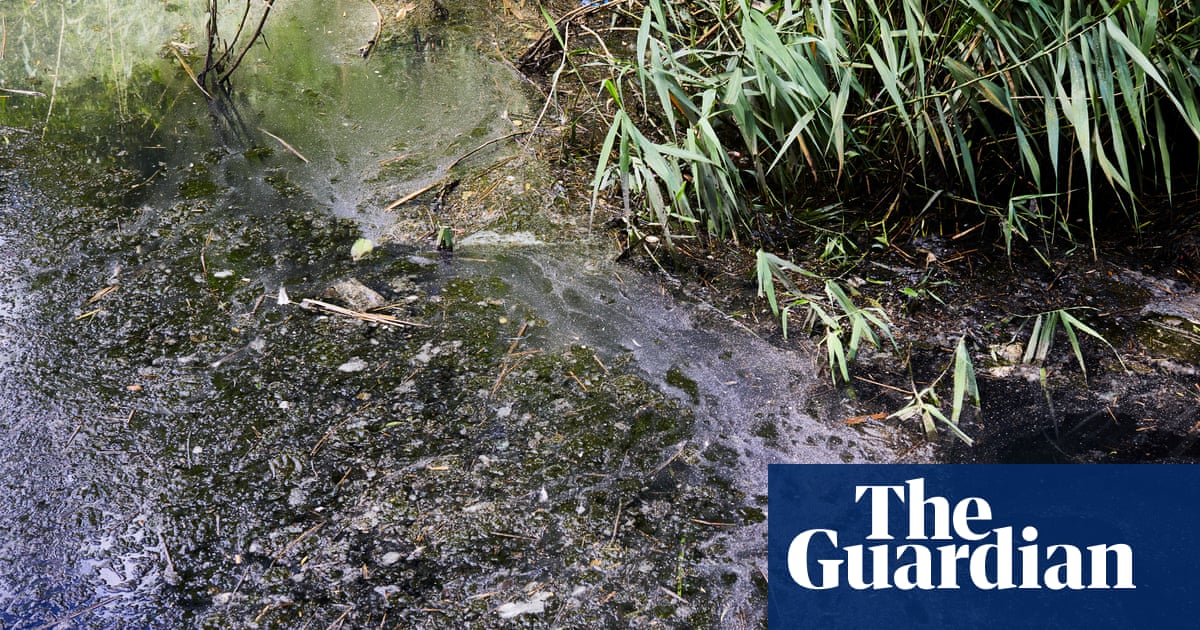 Starmer criticises government’s ‘flimsy’ plan over water pollution in England
