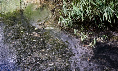 A polluted London waterway