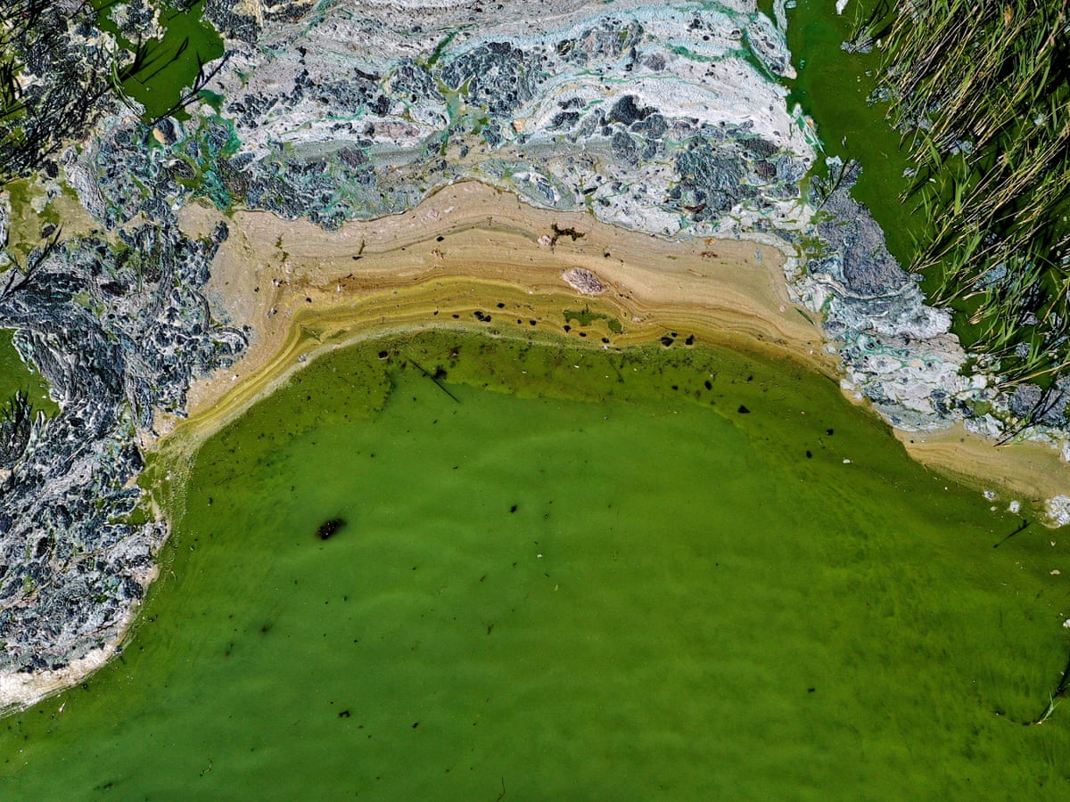 Scientists warn of 'phosphogeddon' as critical fertiliser shortages loom | Pollution | The Guardian