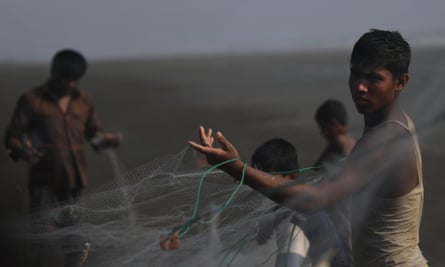 Rohingya refugees shake out fish from nets