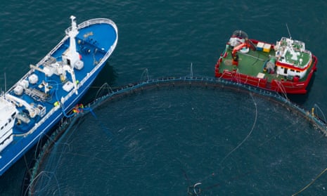 Aerial shot of two ships next to a large cage
