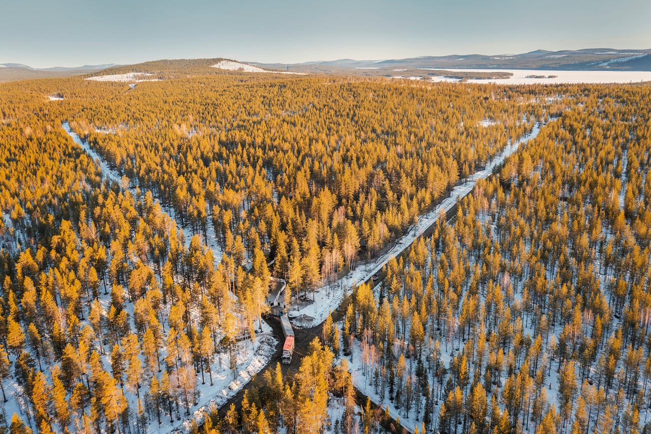 Aerial view of truck (cab with two trailers) at crossroads in the forest