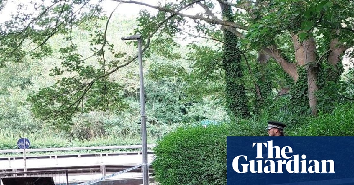 Three teenagers arrested over death of man in Essex Three teenagers arrested over death of man in Essex