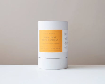 Song Tea Shan Lin Xi Winter Sprout Oolong