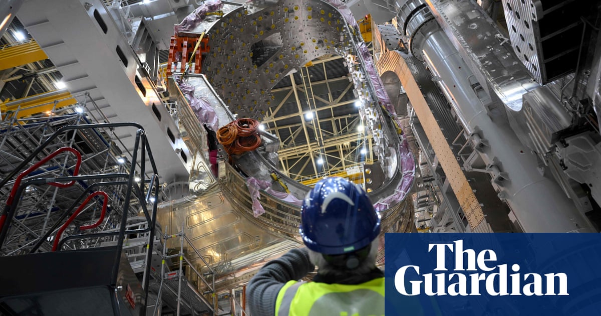 International nuclear fusion project may be delayed by years, its head admits
