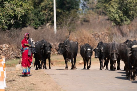 The small village of Janwaar in Madhya Pradesh, one of India’s poorest states