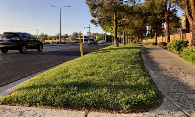 A grassy landscape on Green Valley Parkway in suburban Las Vegas. A new law will outlaw 40% of the grass in the area. 