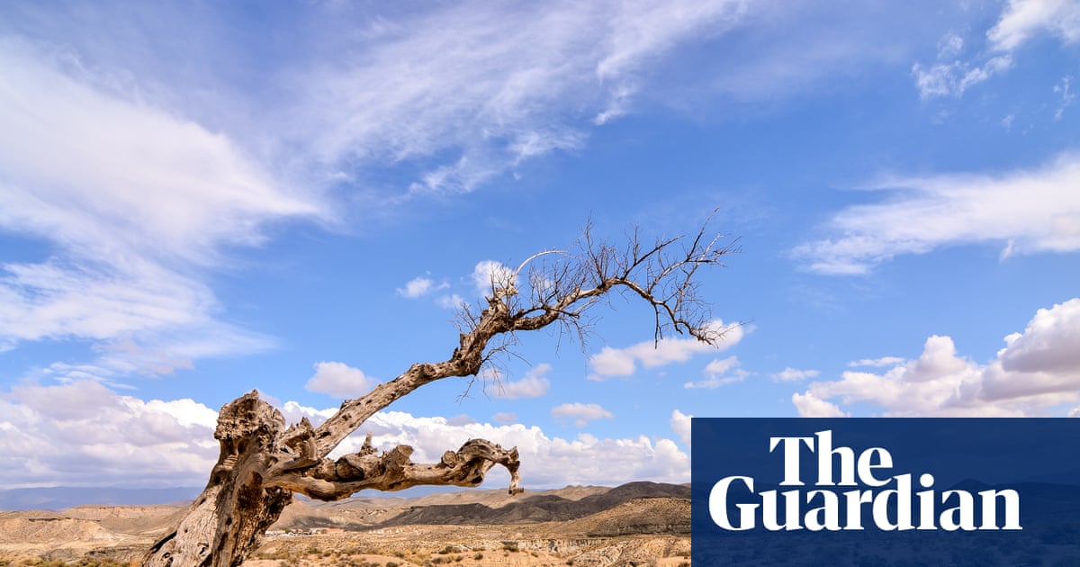 The Dead Don’t Bleed by Neil Rollinson review – a gripping tale of family and forbidden love