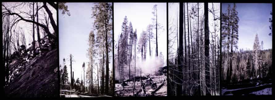 Uta Kögelsberger’s Cull at the Summer Exhibition.