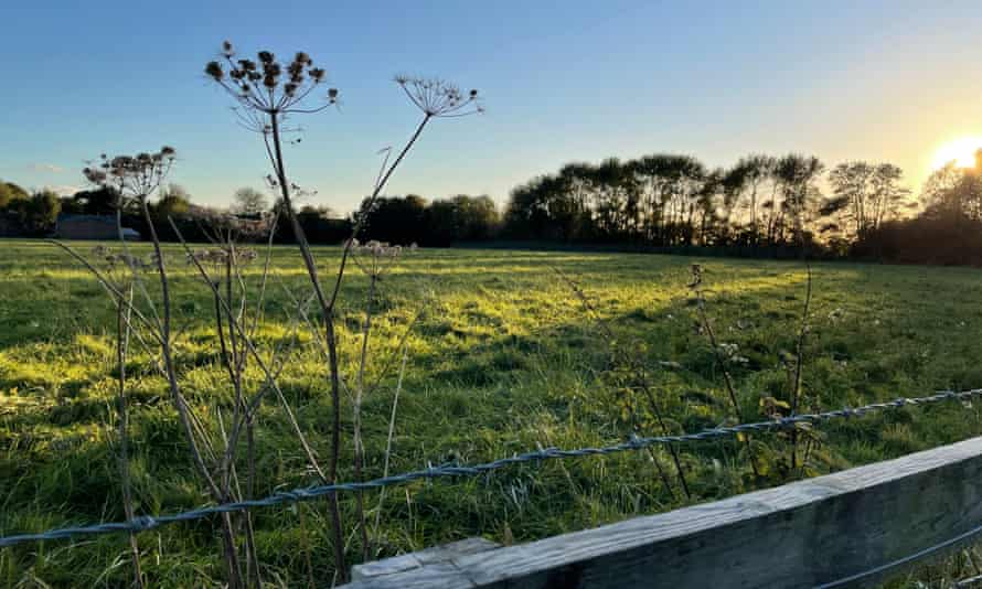 Evening light on Southmere field.