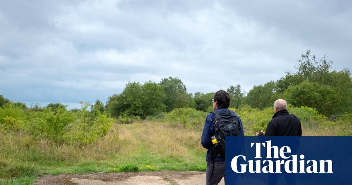 Brownfields can be rich habitats': the abandoned oil refinery where wildlife now thrives