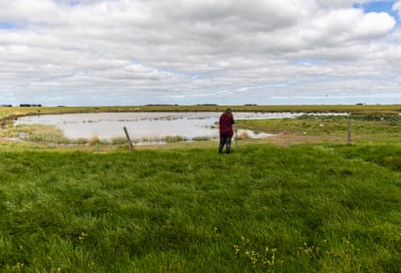Carol Moyse photographing water birds on her property near Ballarat.