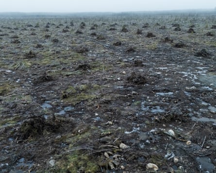 A clear-cut forest in Otanmäki, Finland, shows muddy ground, tree stumps and puddles under misty skies